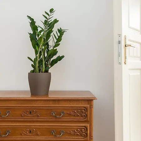 Old Town Appartement *